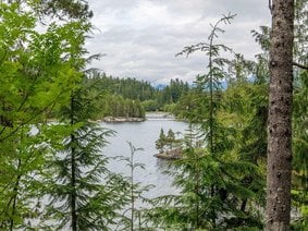 94 - 1200 Alta Lake Road, Whistler, BC V8E 0H4 | Twin Lakes Photo 9