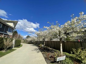 TH16 - 271 Francis Way, New Westminster, BC V3L 5E8 | Parkside Photo R2807651-2.jpg