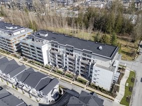 A107 - 8447 202 Street, Langley, BC V2Y 2B7 | Aristotle Photo 32