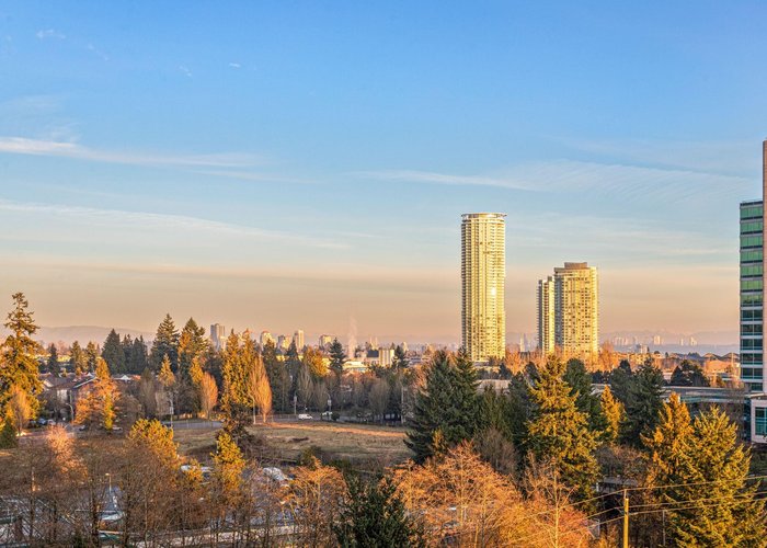 1003 - 6837 Station Hill Drive, Burnaby, BC V3N 5B7 |  Photo 47