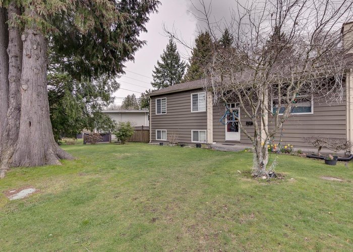 10969 86A Avenue, Delta, BC V4C 2Y3 |  Photo 34