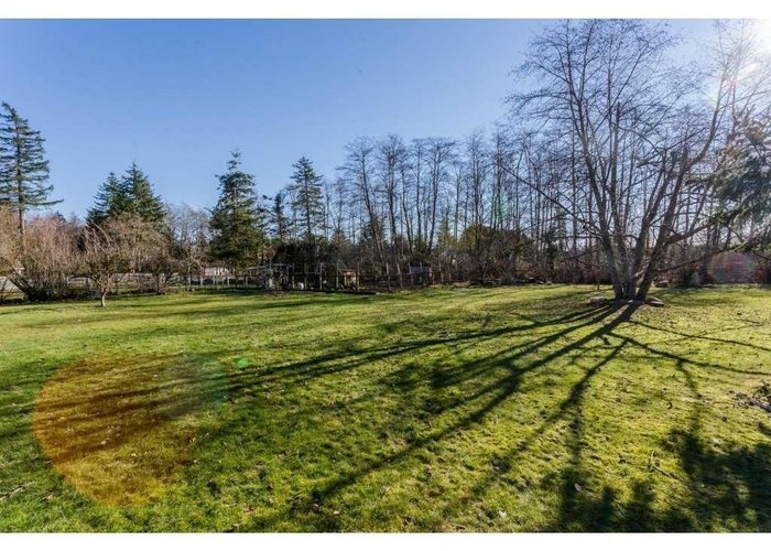 16910 23 Avenue, Surrey, BC V3Z 9Z2 |  Photo 18