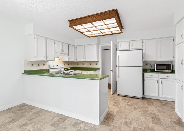 925 Merritt Street, Coquitlam, BC V3J 7K9 |  Photo 46