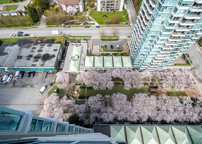 2504 - 4398 Buchanan Street, Burnaby, BC V5C 6R7 |  Photo 52