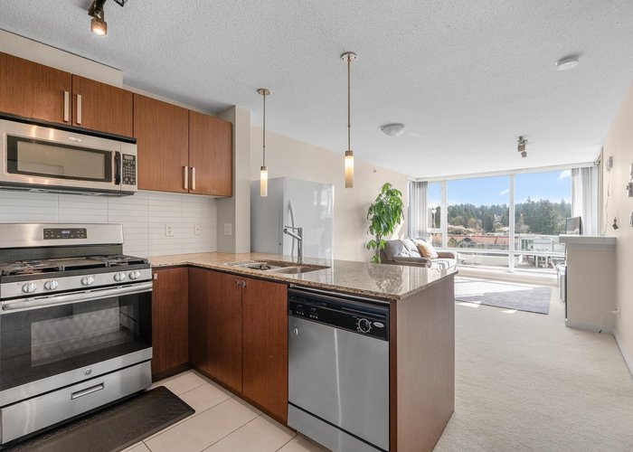 909 - 9888 Cameron Street, Burnaby, BC V3J 0A4 |  Photo 19