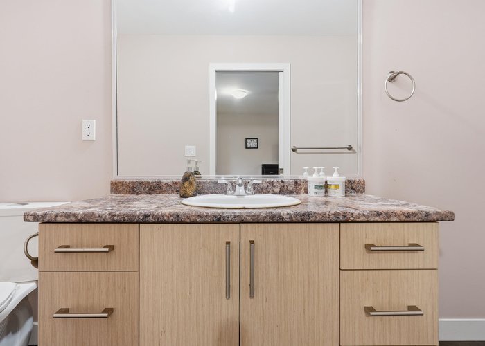 2890 202 Street, Langley, BC V2Z 2B9 |  Photo 49
