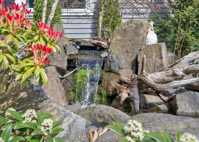 21199 River Road, Maple Ridge, BC V2X 2A5 |  Photo 42