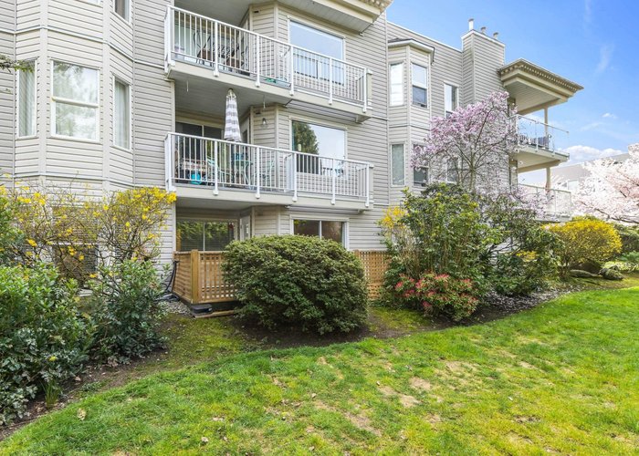 102 - 9948 151 Street, Surrey, BC V3R 0V6 |  Photo 46
