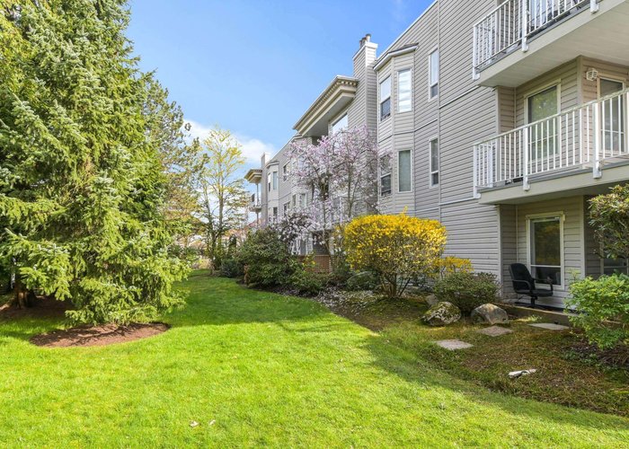 102 - 9948 151 Street, Surrey, BC V3R 0V6 |  Photo 48