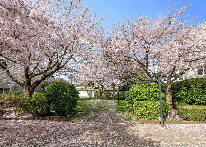 102 - 9948 151 Street, Surrey, BC V3R 0V6 |  Photo 49