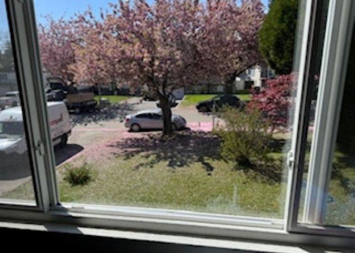 8868 Roslin Place, Surrey, BC V3V 6L8 |  Photo 18