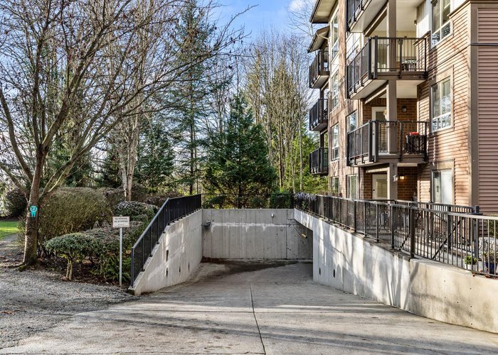 215 - 11665 Haney Bypass, Maple Ridge, BC V2X 8W9 |  Photo 60
