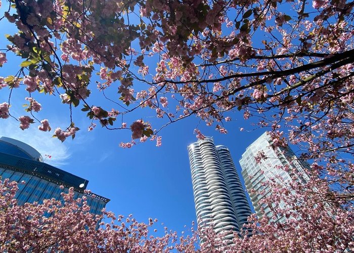 2205 - 938 Smithe Street, Vancouver, BC V6Z 0A4 |  Photo 65
