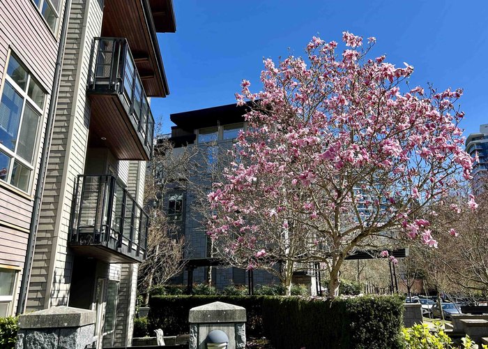 128 - 5777 Birney Avenue, Vancouver, BC V6S 0A4 |  Photo 38