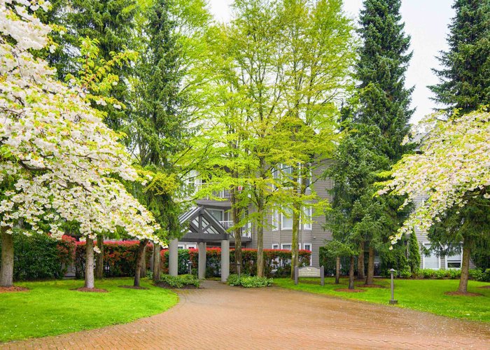 206 - 15150 108 Avenue, Surrey, BC V3R 0V1 |  Photo 36