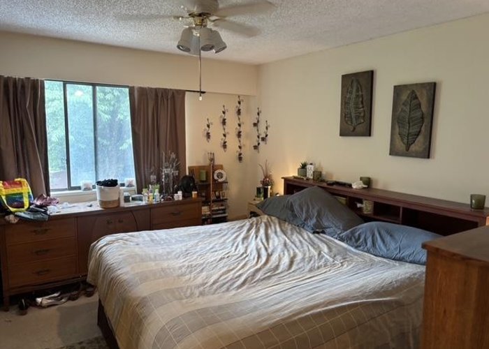 11786 212 Street, Maple Ridge, BC V2X 8P9 |  Photo 44