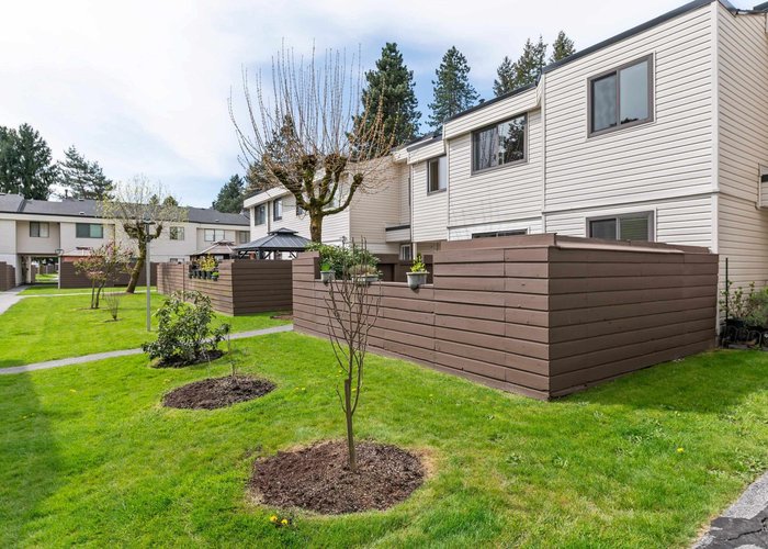 77 - 14129 104 Avenue, Surrey, BC V3T 1X6 |  Photo 31
