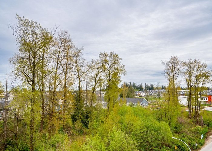 604 - 8379 201 Street, Langley, BC V2Y 3S6 |  Photo 60