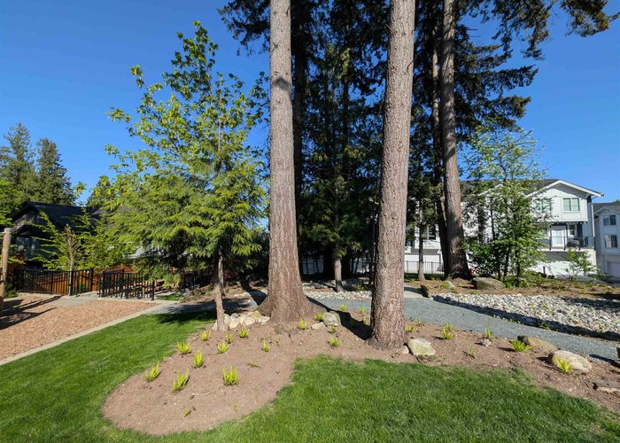 38 - 14355 62 Avenue, Surrey, BC V3X 0K6 |  Photo 68