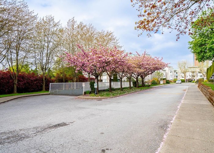 306 - 9763 140 Street, Surrey, BC V3T 4M4 |  Photo 57