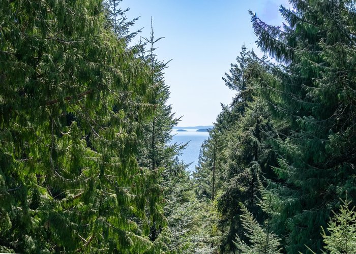 486 Bluff Way, Mayne Island, BC V0N 2J2 |  Photo 52