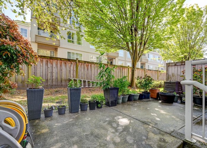 5 - 8711 Jones Road, Richmond, BC V6Y 1L7 |  Photo 49