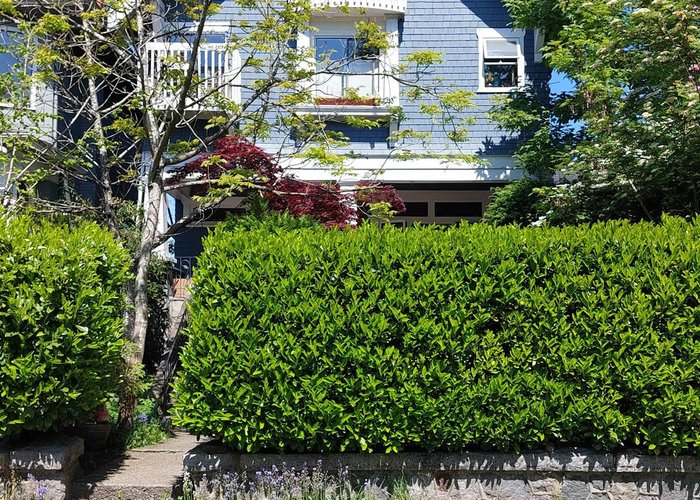 1951 Napier Street, Vancouver, BC V5L 2N6 |  Photo 46