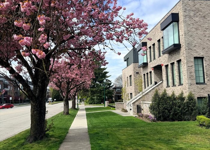 101 - 157 King Edward Avenue, Vancouver, BC V5Y 2H8 |  Photo 24