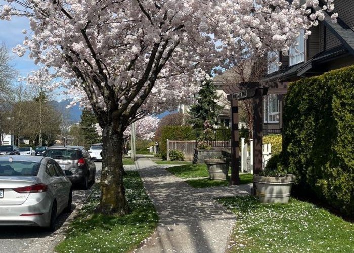 105 - 6588 Elgin Avenue, Burnaby, BC V5H 3S6 |  Photo 28
