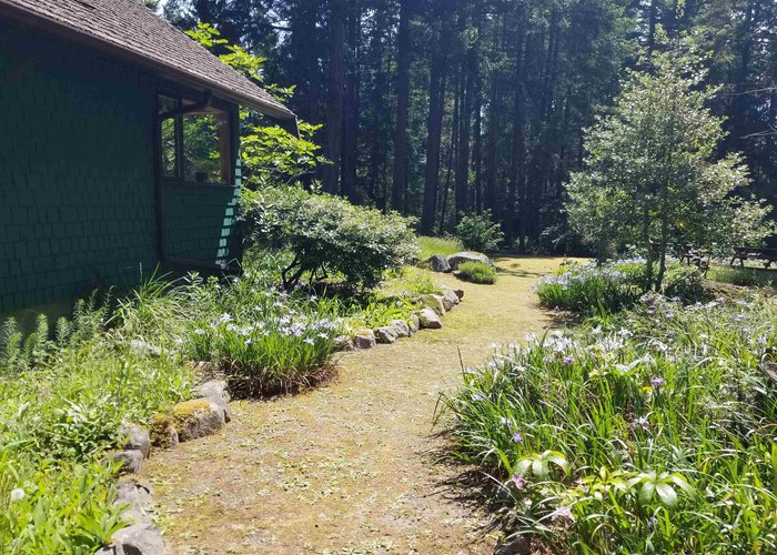 401 Shopland Road, Galiano Island, BC V0N 1P0 |  Photo 38