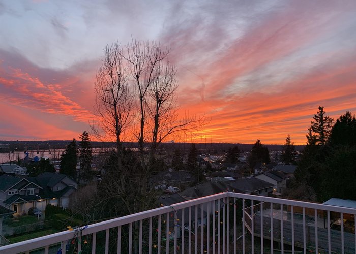 33614 3 Avenue, Mission, BC V2V 1P6 |  Photo 64