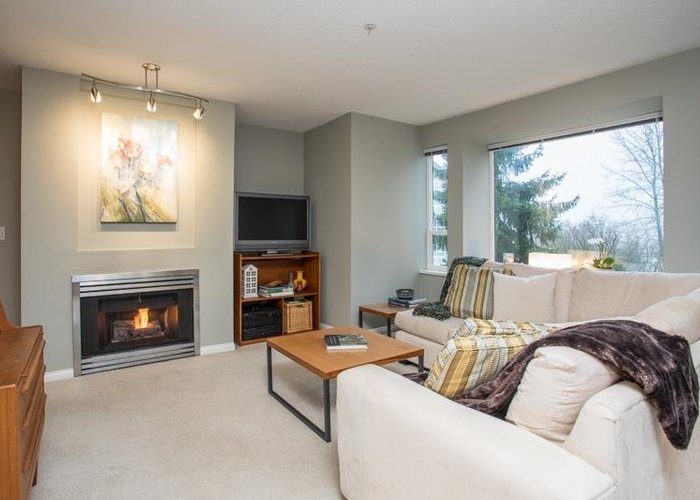 113 - 3099 Terravista Place, Port Moody, BC V3H 5A4 |  Photo 24