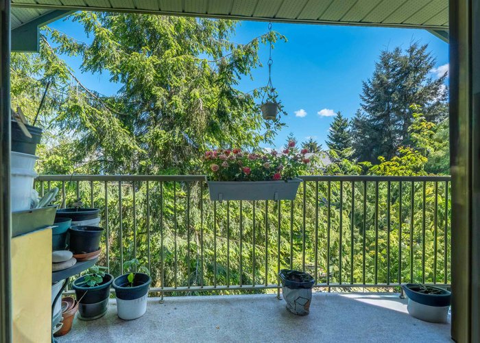 304 - 10756 138 Street, Surrey, BC V3T 4K5 |  Photo 33