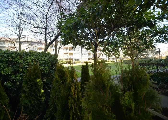 106 - 3455 Ascot Place, Vancouver, BC V5R 6B7 |  Photo 42