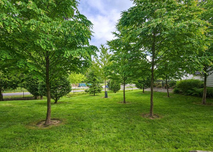 75 - 15665 Mountain View Drive, Surrey, BC V3Z 0W8 |  Photo 70