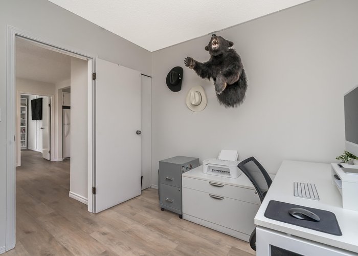 50750 Yale Road, Rosedale, BC V0X 1X2 |  Photo 61