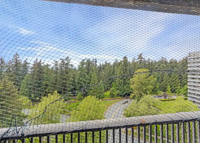 1101 - 6595 Willingdon Avenue, Burnaby, BC V5H 4E5 |  Photo 45