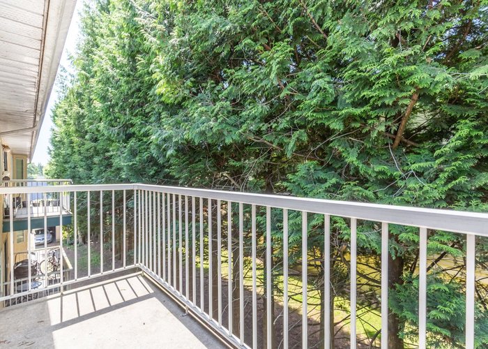 302 - 2567 Victoria Street, Abbotsford, BC V2T 2T4 |  Photo 48