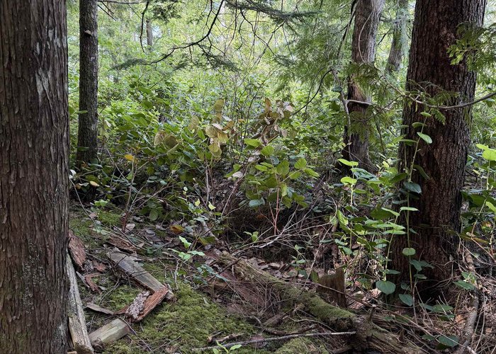 1 South OF Debeck Creek, Pitt Meadows, BC V0V 0V0 |  Photo 60