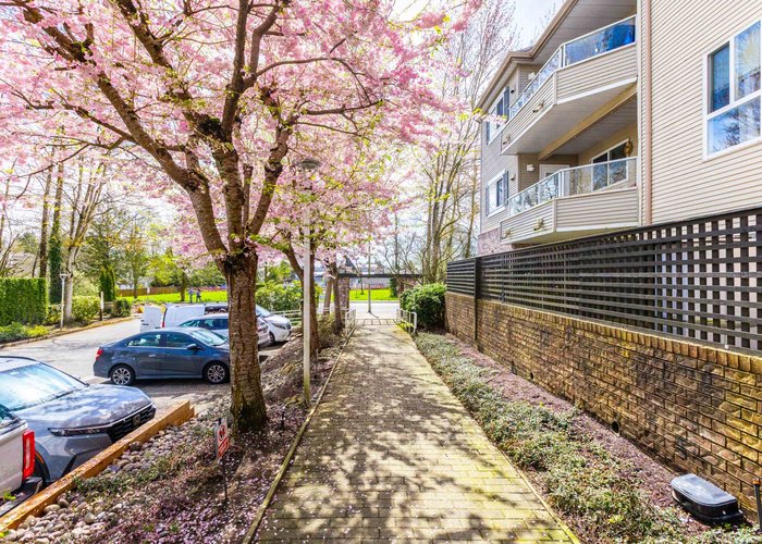 307 - 16137 83 Avenue, Surrey, BC V4N 0N1 |  Photo 72