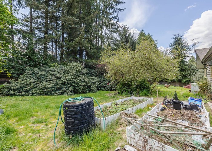 21190 Glenwood Avenue, Maple Ridge, BC V2X 8K5 |  Photo 46