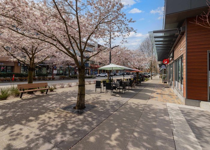 316 - 20728 Willoughby Town Centre Drive, Langley, BC V2Y 0P3 |  Photo 71