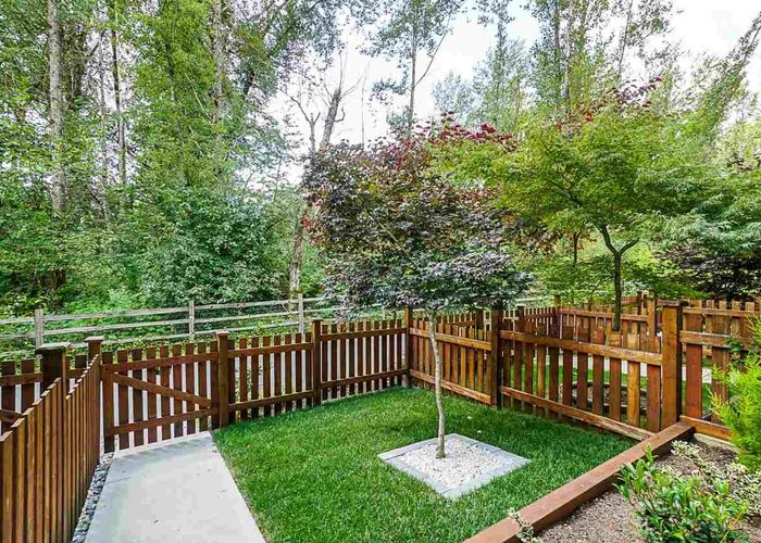 9 - 19128 65 Avenue, Surrey, BC V4N 6P2 |  Photo 29