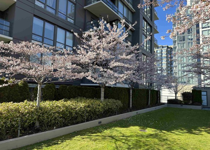 308 - 9188 Cook Road, Richmond, BC V6Y 4M1 |  Photo 62