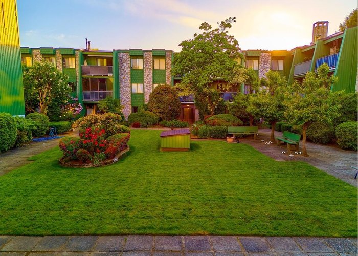 109 - 9202 Horne Street, Burnaby, BC V3N 4K2 |  Photo 49