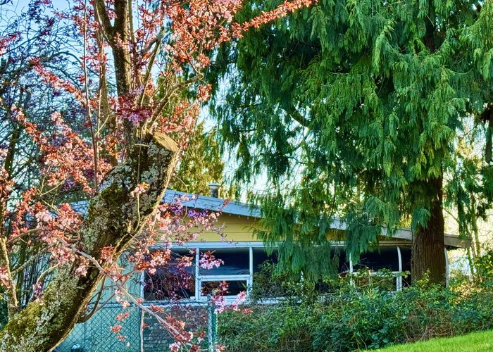 990 Balsam Street, White Rock, BC V4B 4J1 |  Photo 5
