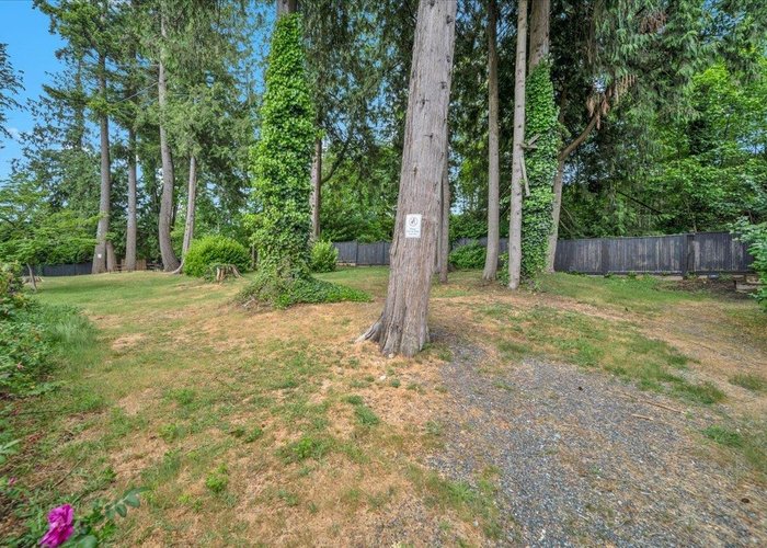 86 - 14555 68 Avenue, Surrey, BC V3S 2A8 |  Photo 62