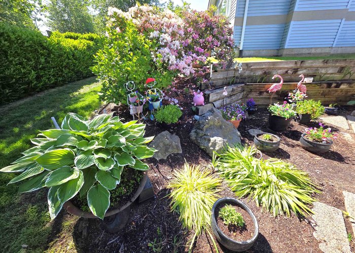 44 - 8889 212 Street, Langley, BC V1M 2E8 |  Photo 40