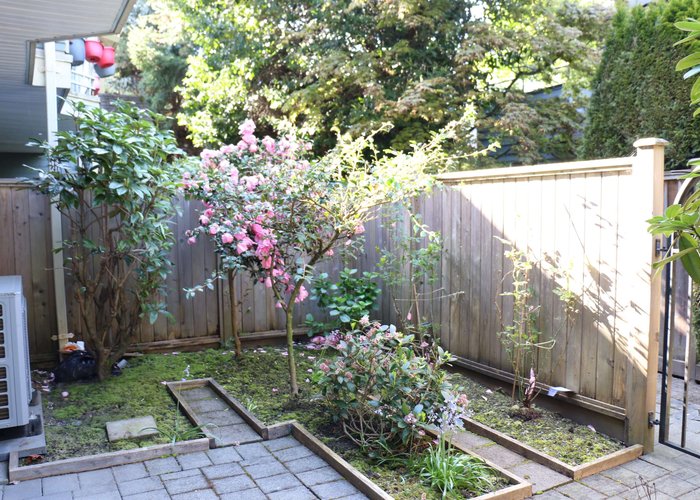 3 - 7833 St. Albans Road, Richmond, BC V6Y 2K8 |  Photo 57