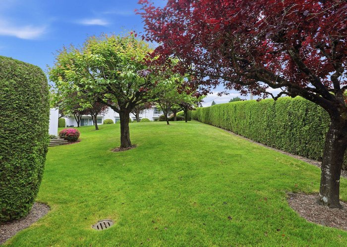 26 - 2988 Horn Street, Abbotsford, BC V2S 3C1 |  Photo 57